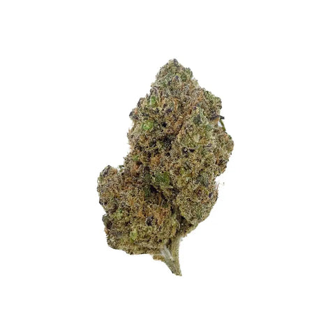 Blue Lobster CBD - Big Bud CBD France Discount