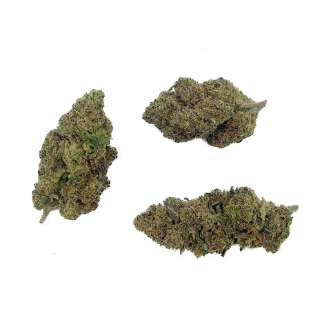 Blue Lobster CBD - Big Bud CBD France Discount