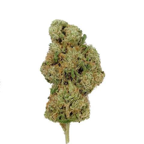 Mango Rainbow CBD - Big Bud CBD France Discount