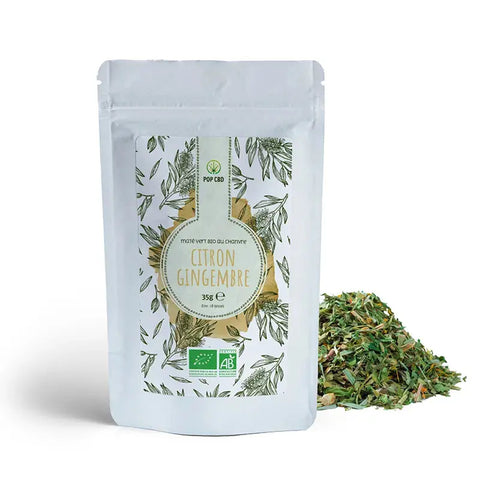 Maté Vert BIO Citron Gingembre - Pop CBD CBD France Discount